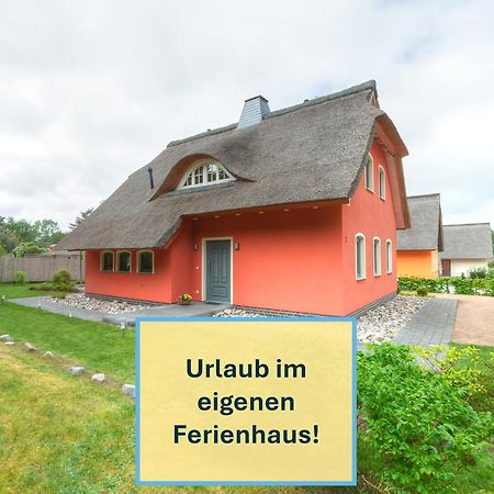 Stubbenfelde, Reetdachhaus Seeblick Exterior foto